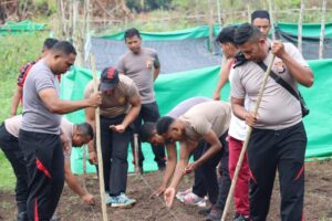 Polresta Tidore Tanam 8.000 Bibit Jagung di Doyado: Wujud Nyata Dukung Swasembada Pangan Nasional 2025