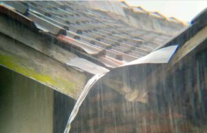 IMG-20250623-WA0023