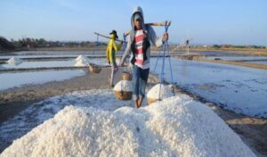 Industri Garam Nasional Diperkuat, Pemerintah Targetkan Kemandirian Penuh pada 2027