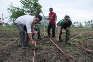 Asta Cita Presiden Prabowo Diimplementasikan di Tidore, Penanaman Jagung Serentak Digelar Polresta
