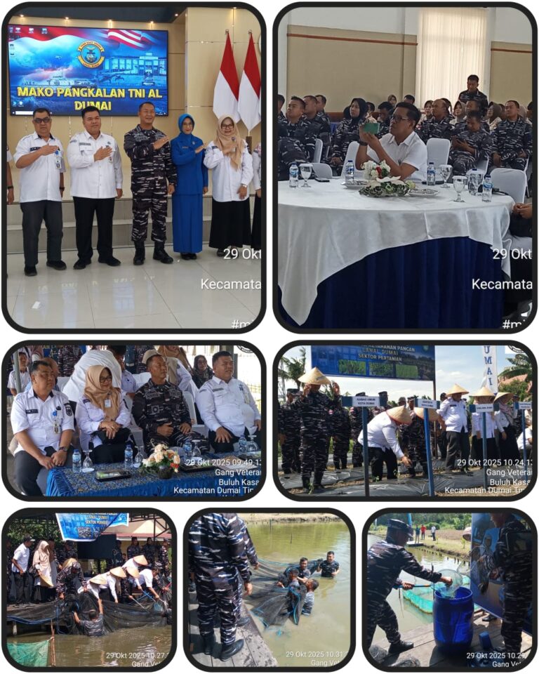 IMG-20251029-WA0123(1)