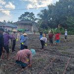 IMG-20251109-WA0035(1)