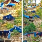 IMG-20251110-WA0081(5)