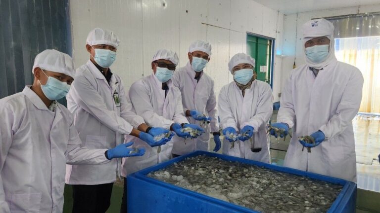 IMG-20251125-WA0132(1)