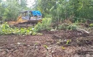 SWI Canangkan Ekonomi Hijau Melalui Tanam Tebu Jelang Munas 2026