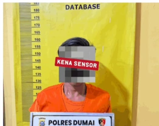 Berhasil Tertangkap Tangan ! Pria Bengkalis Diciduk Saat Mencuri 82 Janjang Sawit di Dumai   