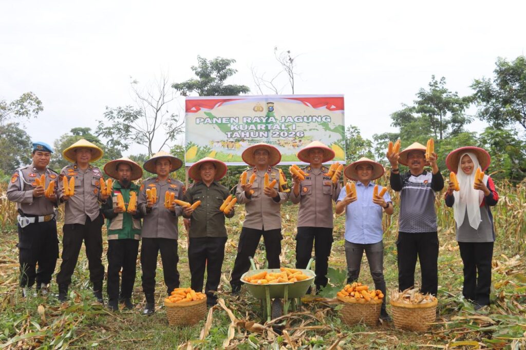 Polres Dumai Bersama Polsek Bukit Kapur Melaksanakan Panen Raya Jagung Guna Dukung Ketahanan Pangan Nasional