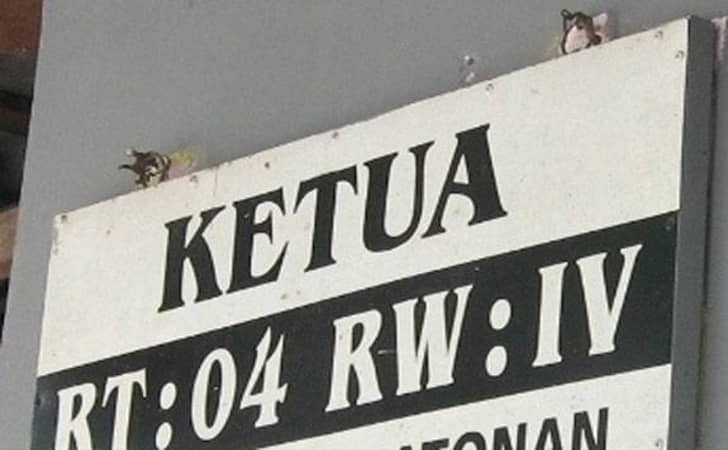 Dugaan Penyalahgunaan Dokumen dalam Jabatan RW Disorot Publik