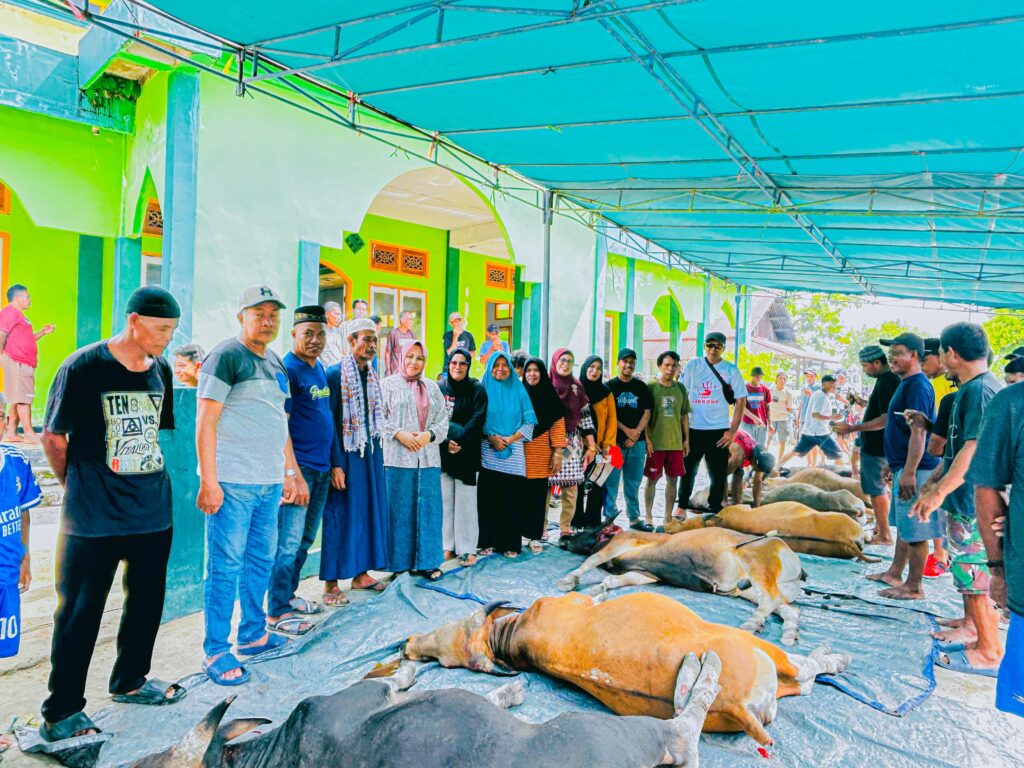 Kompak dan Solid, Masyarakat Orimakurunga Gelar Kurban Besar Hingga Dua Hari